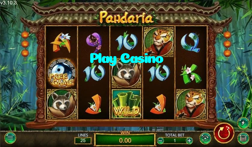 making first deposit on Play Casino website using local payment methods in Pakistan